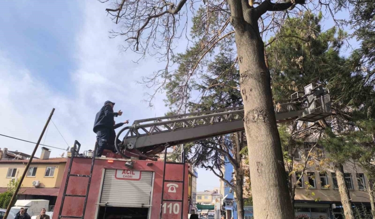 itfaiyeden-su-fiskirtma-teknigiyle-kedi-kurtarma-operasyonu-UXXmnipe.jpg