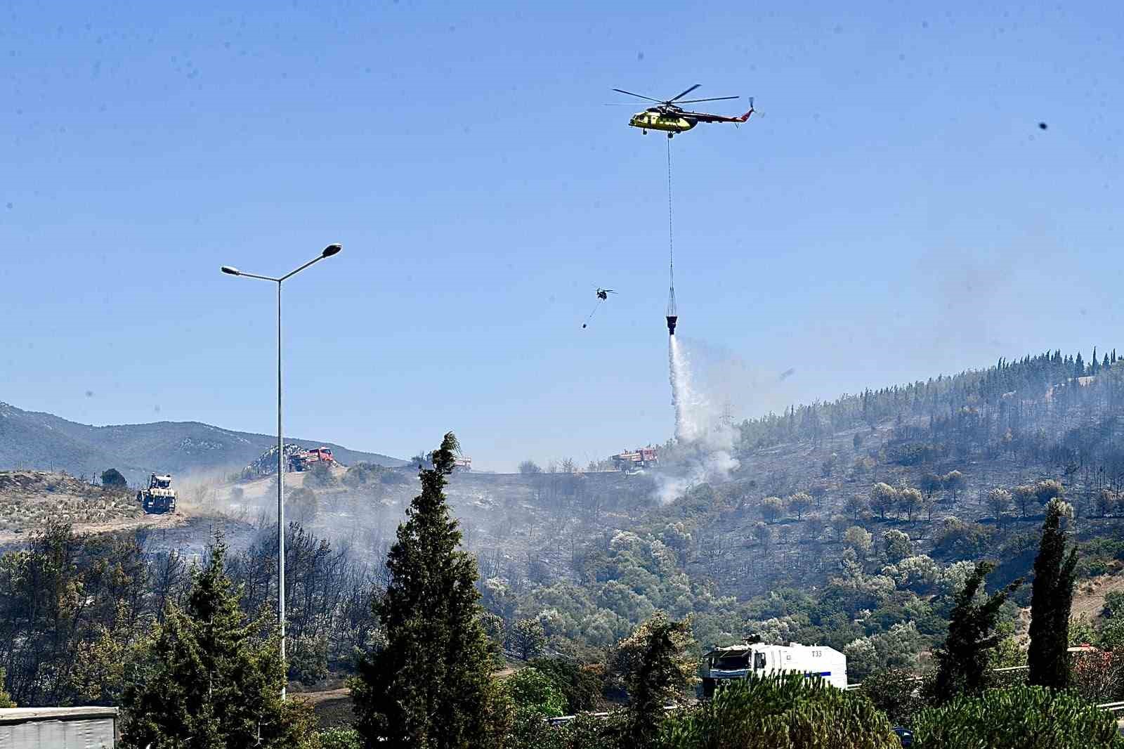 izmir itfaiyesi bukalemunu hayata dondurdu 0 rXCP7LOs