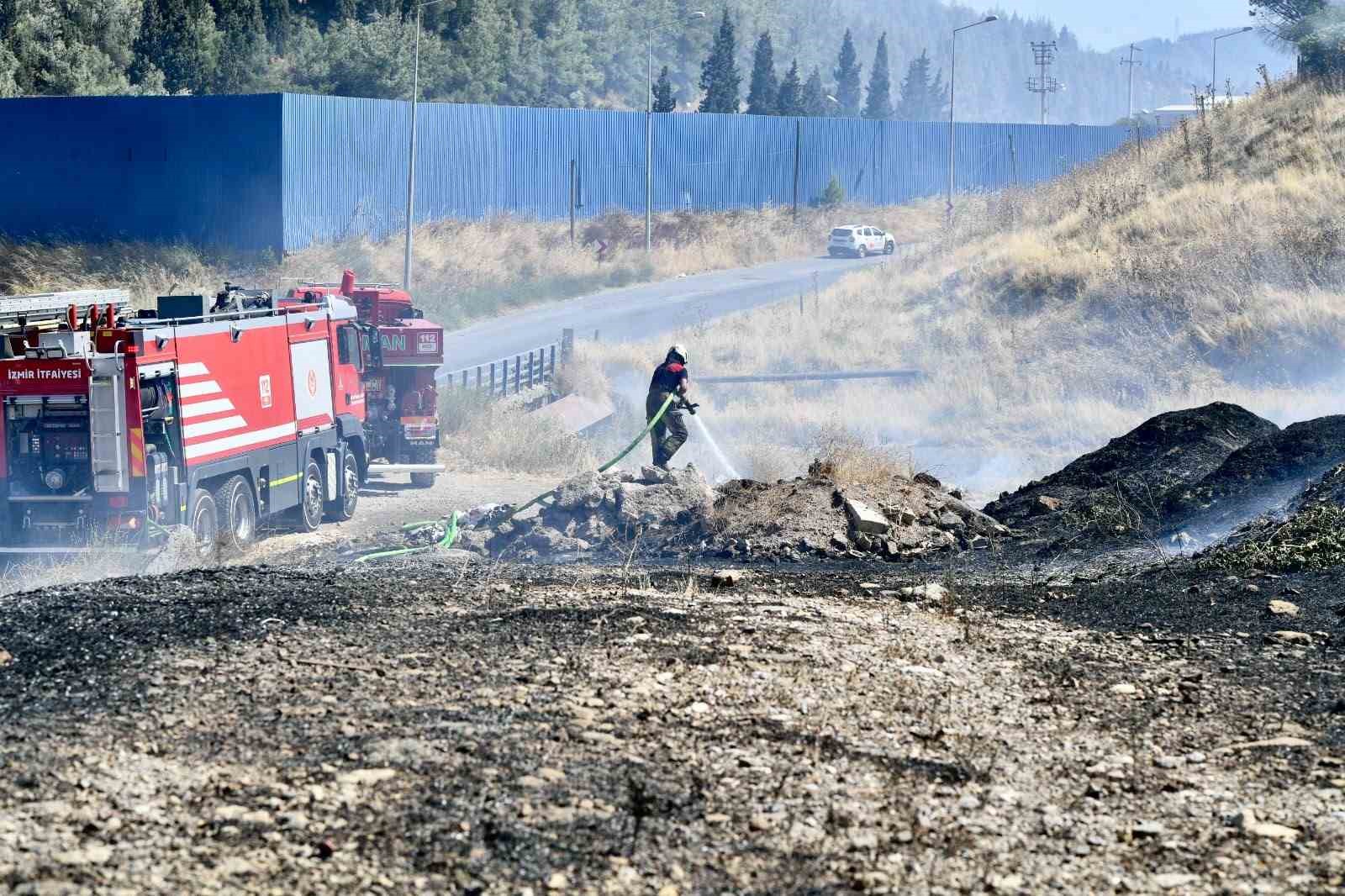 izmir itfaiyesi bukalemunu hayata dondurdu 1 nDCvWBIU