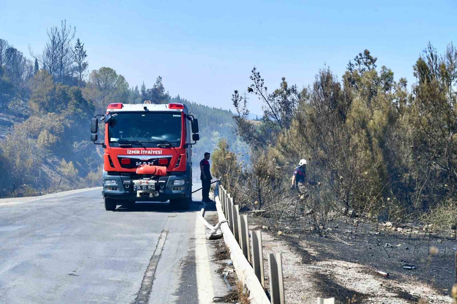 izmir itfaiyesi bukalemunu hayata dondurdu 2 4nikITDW