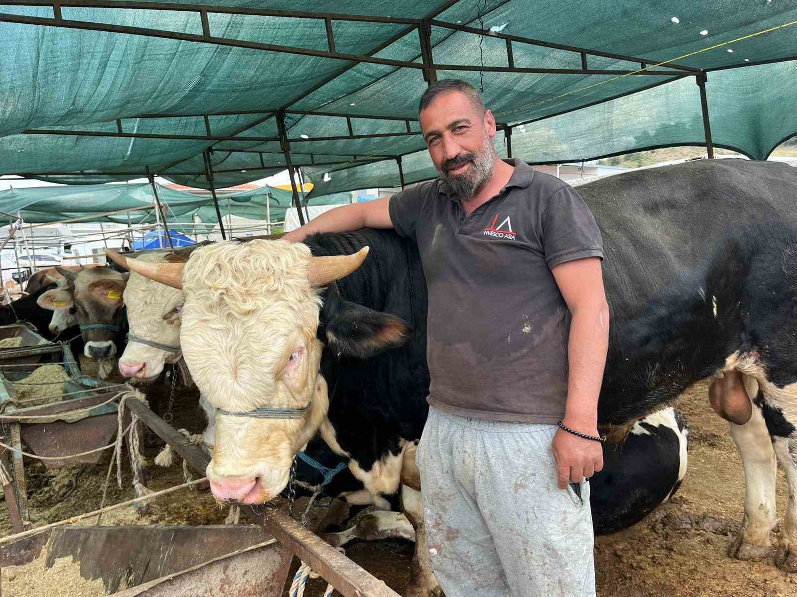 izmir kurban pazarlarinda sosyal medya ruzgari 3 zKLZf4eL