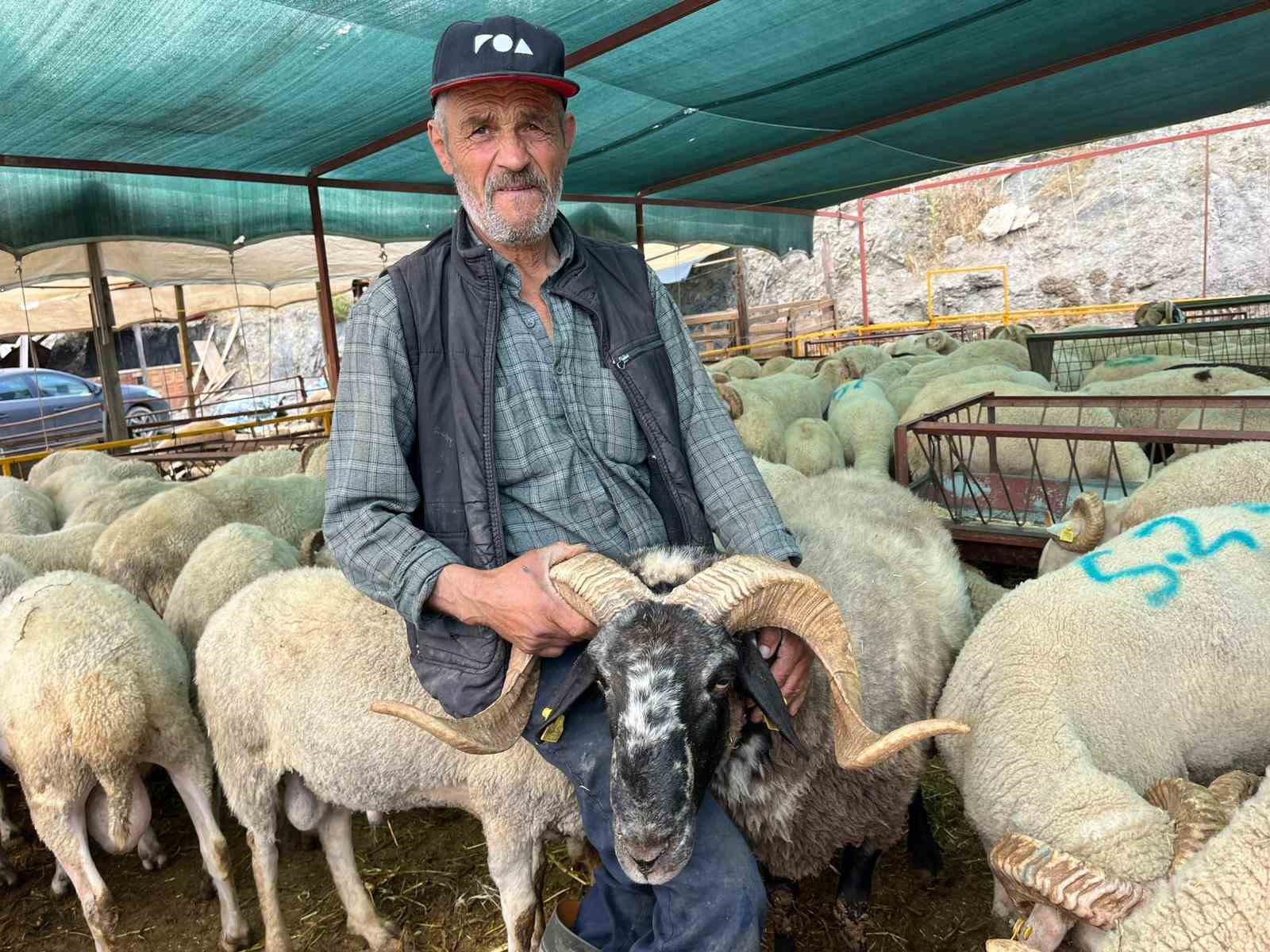 izmir kurban pazarlarinda sosyal medya ruzgari 4 lQNYW7Bn