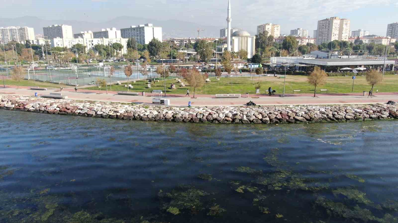 izmir sahilinde yesil istila 4 fjLyPnIG