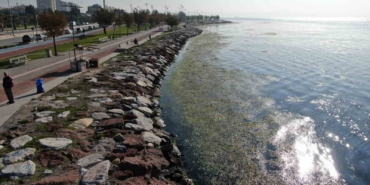 izmir-sahilinde-yesil-istila-ykmfP7WO.jpg