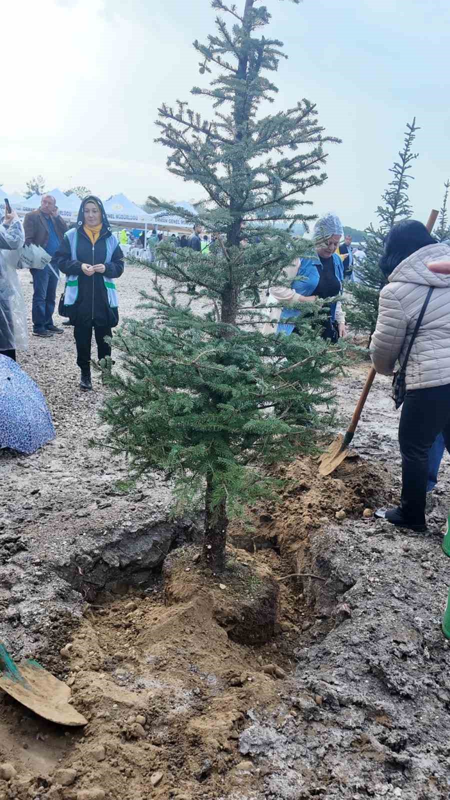 izmirde 115 bin fidan toprakla bulustu 6 uZGTFHbj