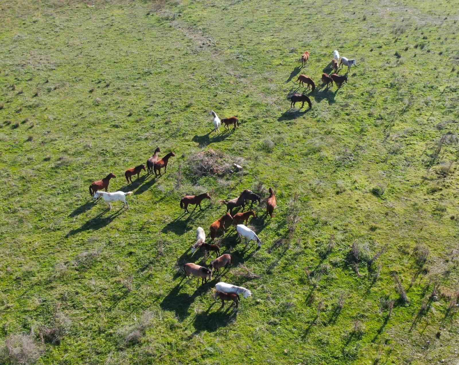 izmirde barajlar bosaldi su kesintileri artik her gun uygulanacak 2