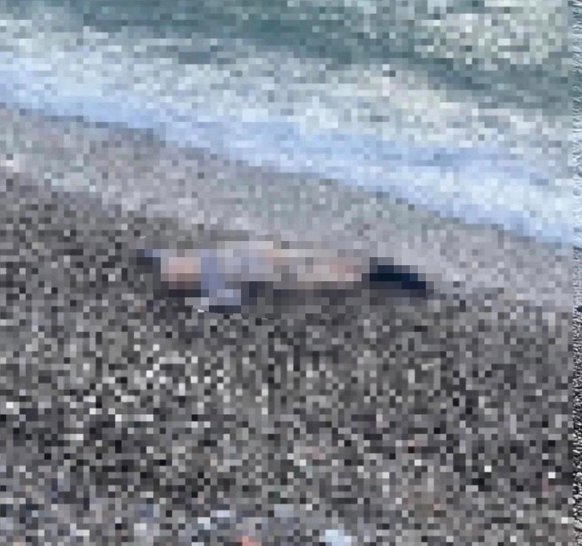 izmirde deniz kiyisinda cocuk cesedi 0 JYbQddHp