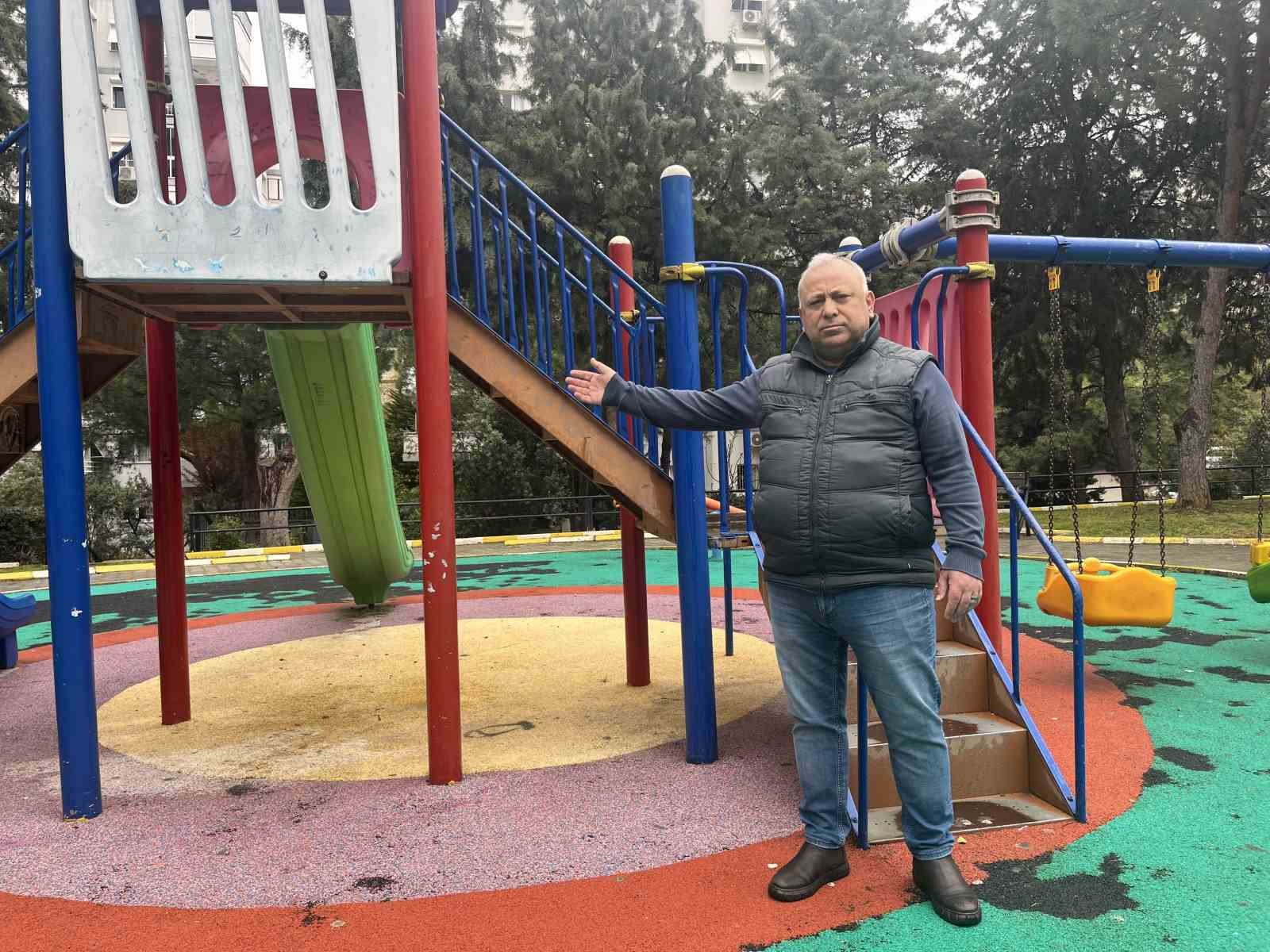 izmirde domuzlar sosyal hayatin parcasi olmaya basladi 3 UwMHtD3J