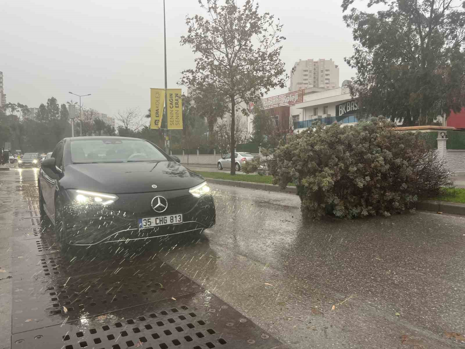 izmirde firtina agaclari devirdi 5 arac hasar gordu 0 5zjF3pcM