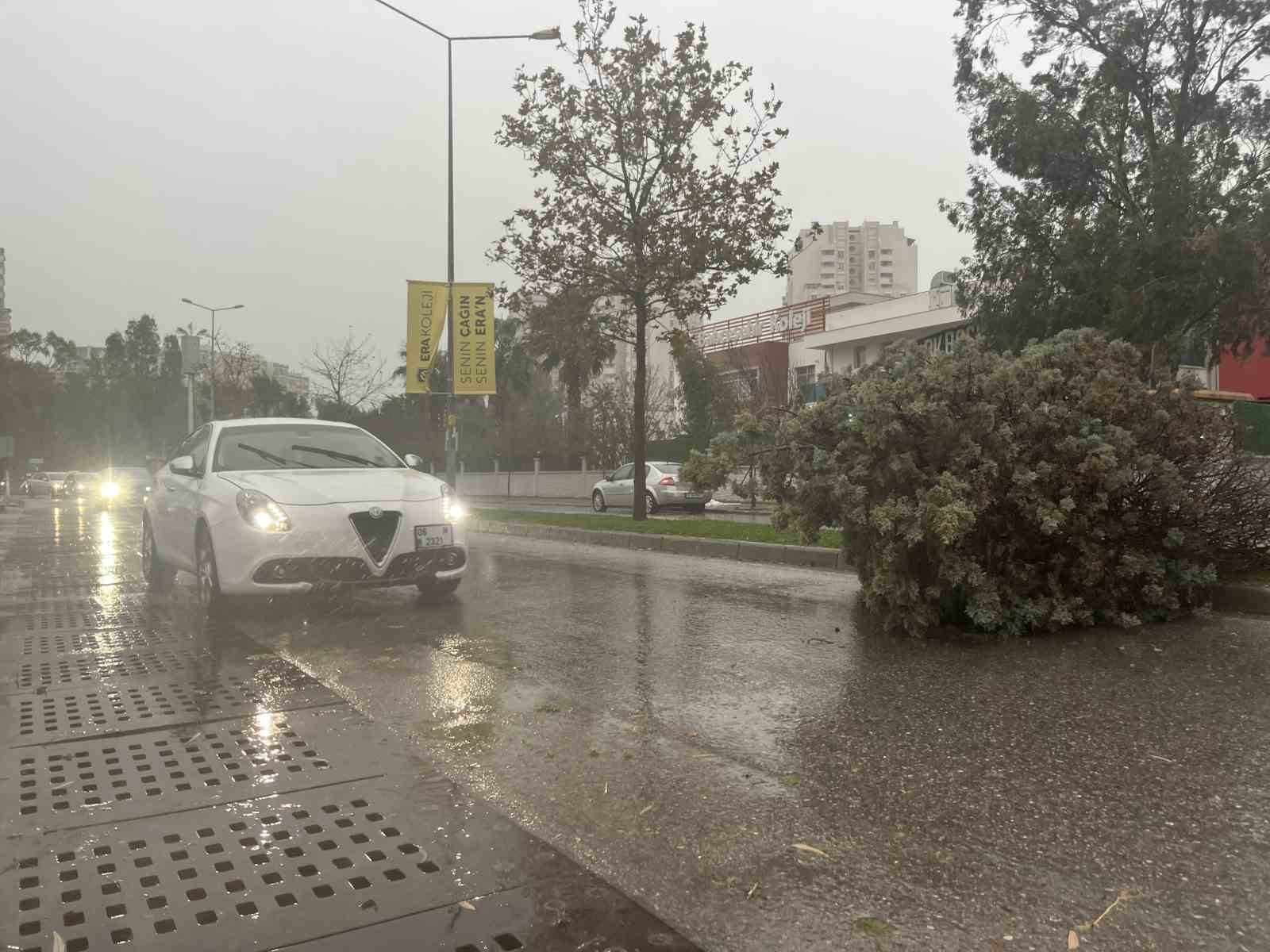 izmirde firtina agaclari devirdi 5 arac hasar gordu 1 FfU36RdN