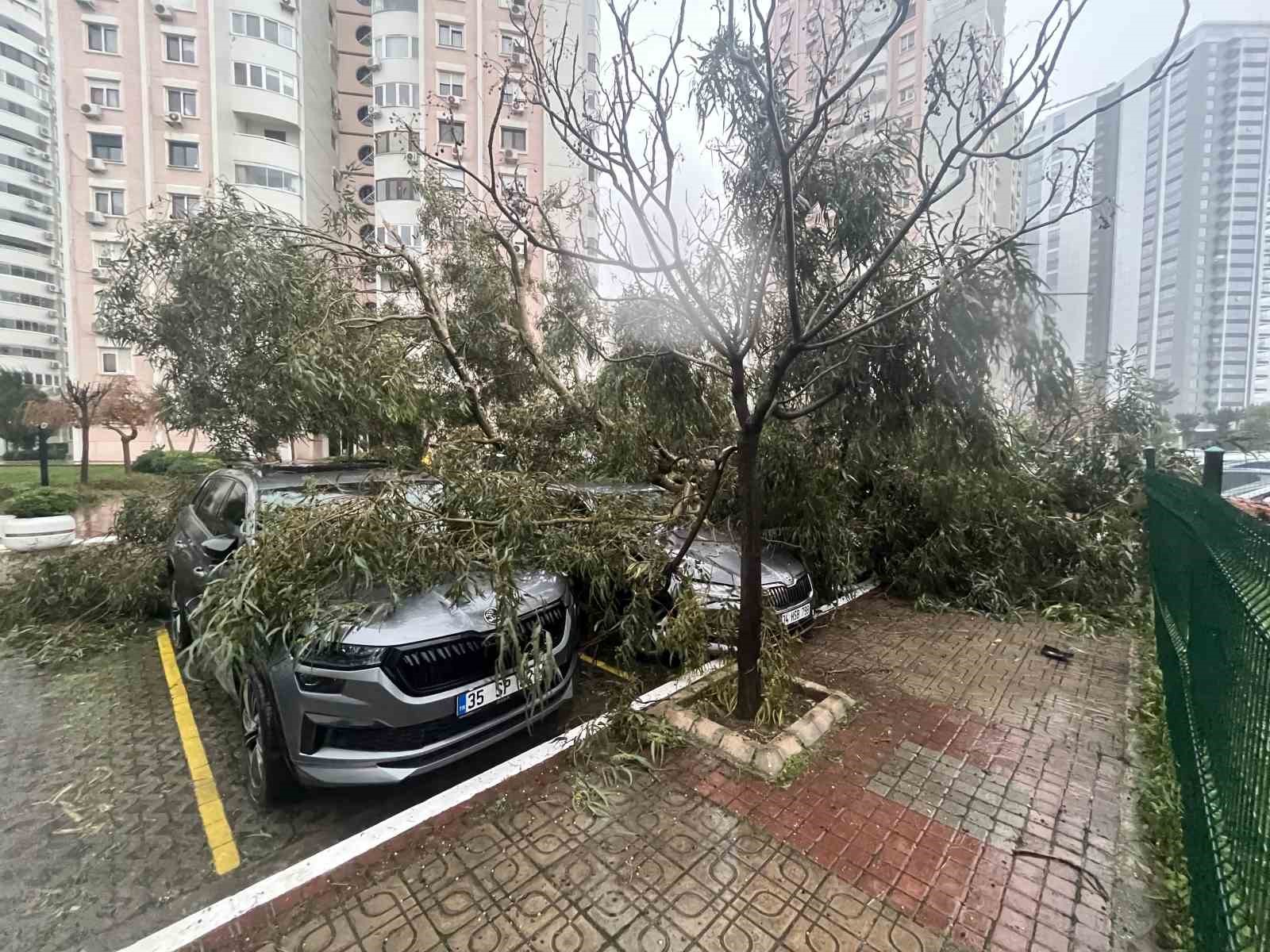 izmirde firtina agaclari devirdi 5 arac hasar gordu 5 hdRmXk8g