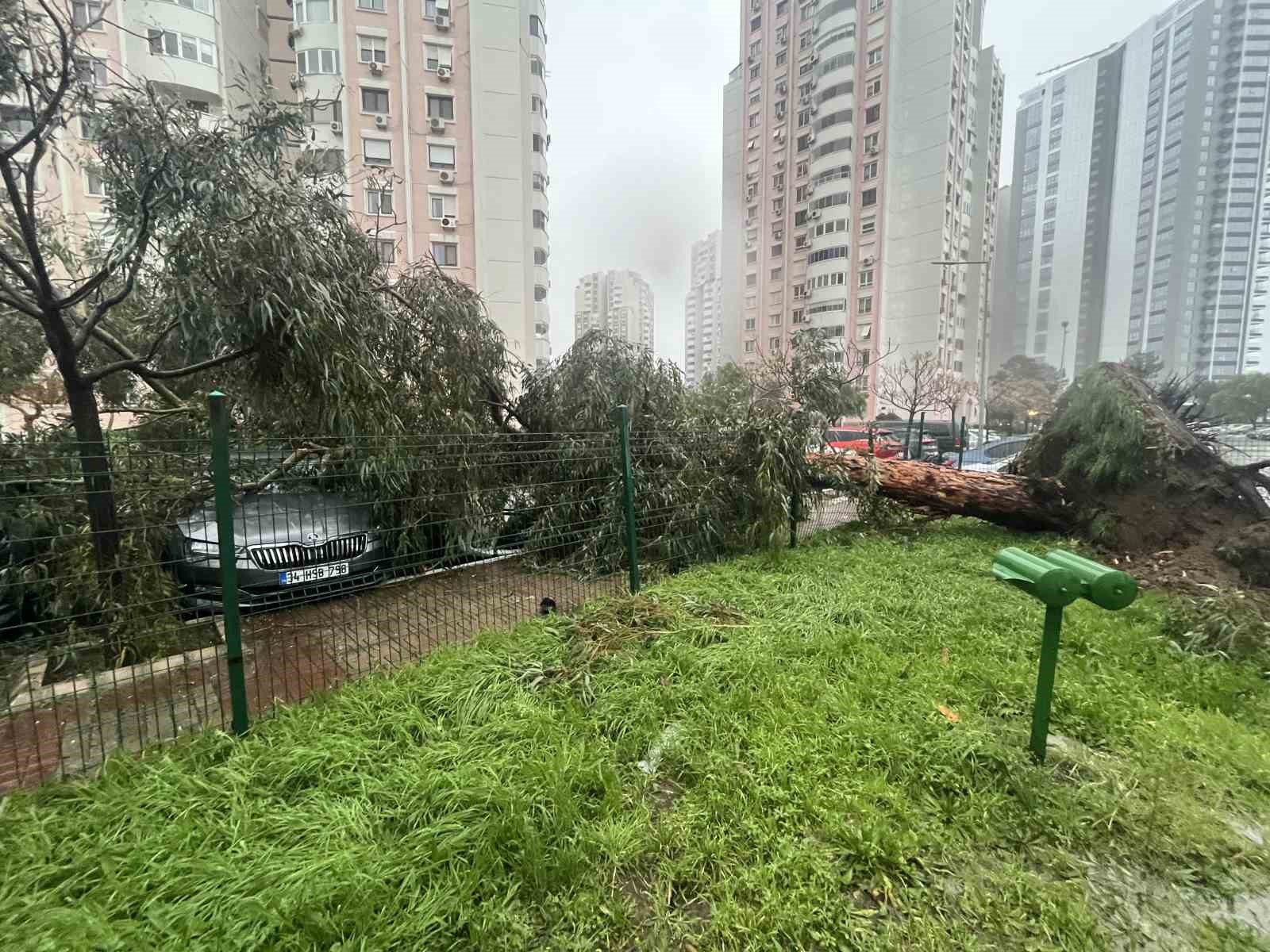 izmirde firtina agaclari devirdi 5 arac hasar gordu 6 LYFl2aNC
