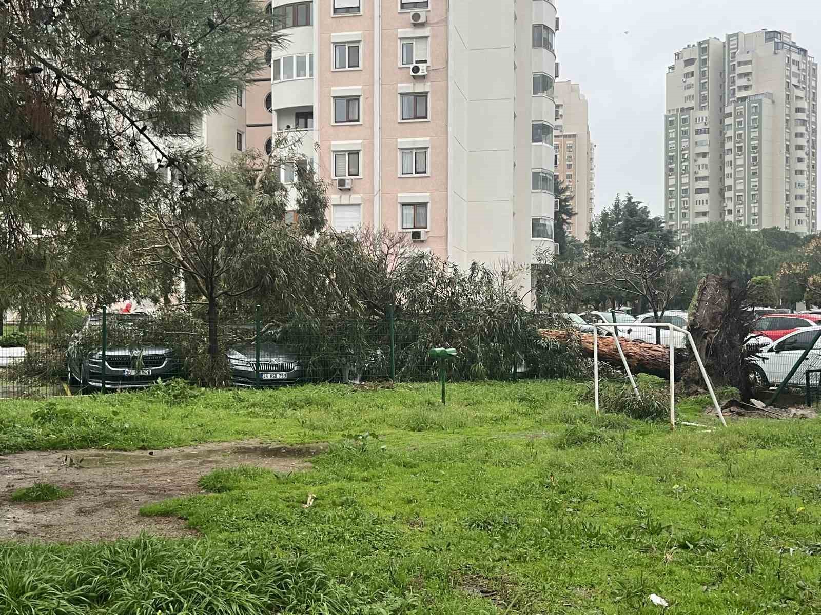 izmirde firtina agaclari devirdi 5 arac hasar gordu 7 pCiDRhGe