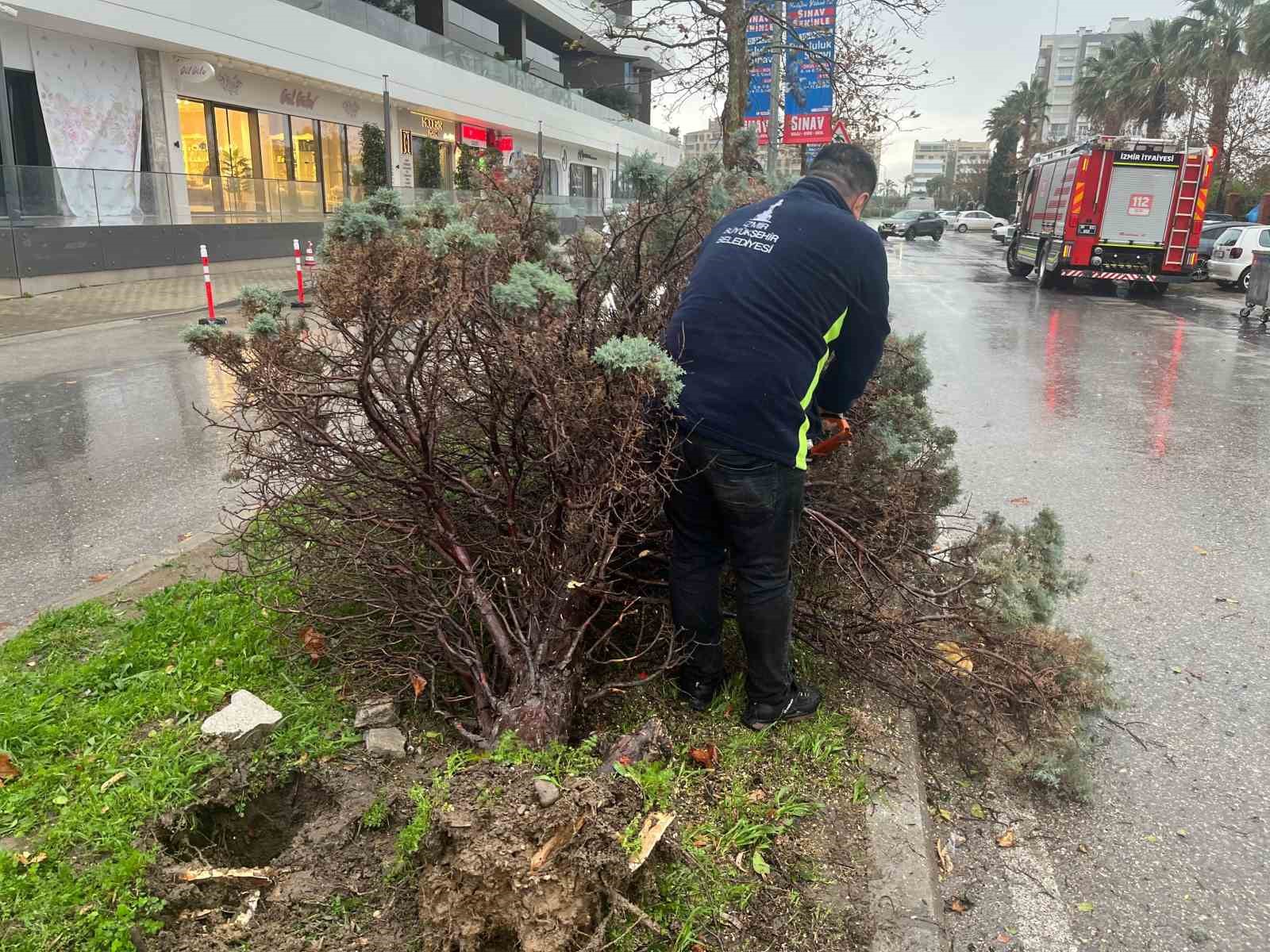 izmirde firtina agaclari devirdi 5 arac hasar gordu 8 f3qjb7As