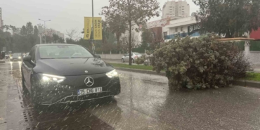 izmirde-firtina-agaclari-devirdi-5-arac-hasar-gordu-Apv57Uxt.jpg
