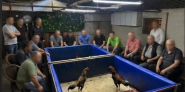 izmirde-horoz-dovusu-operasyonu-ciftlik-muhurlendi-130-bin-lira-ceza-kesildi-Zj6FF4bI.jpg