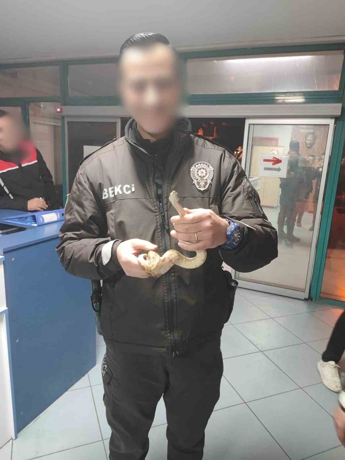 izmirde kafede yilanla gezdi 12 bin lira ceza yedi 1 RkAmG5Wv