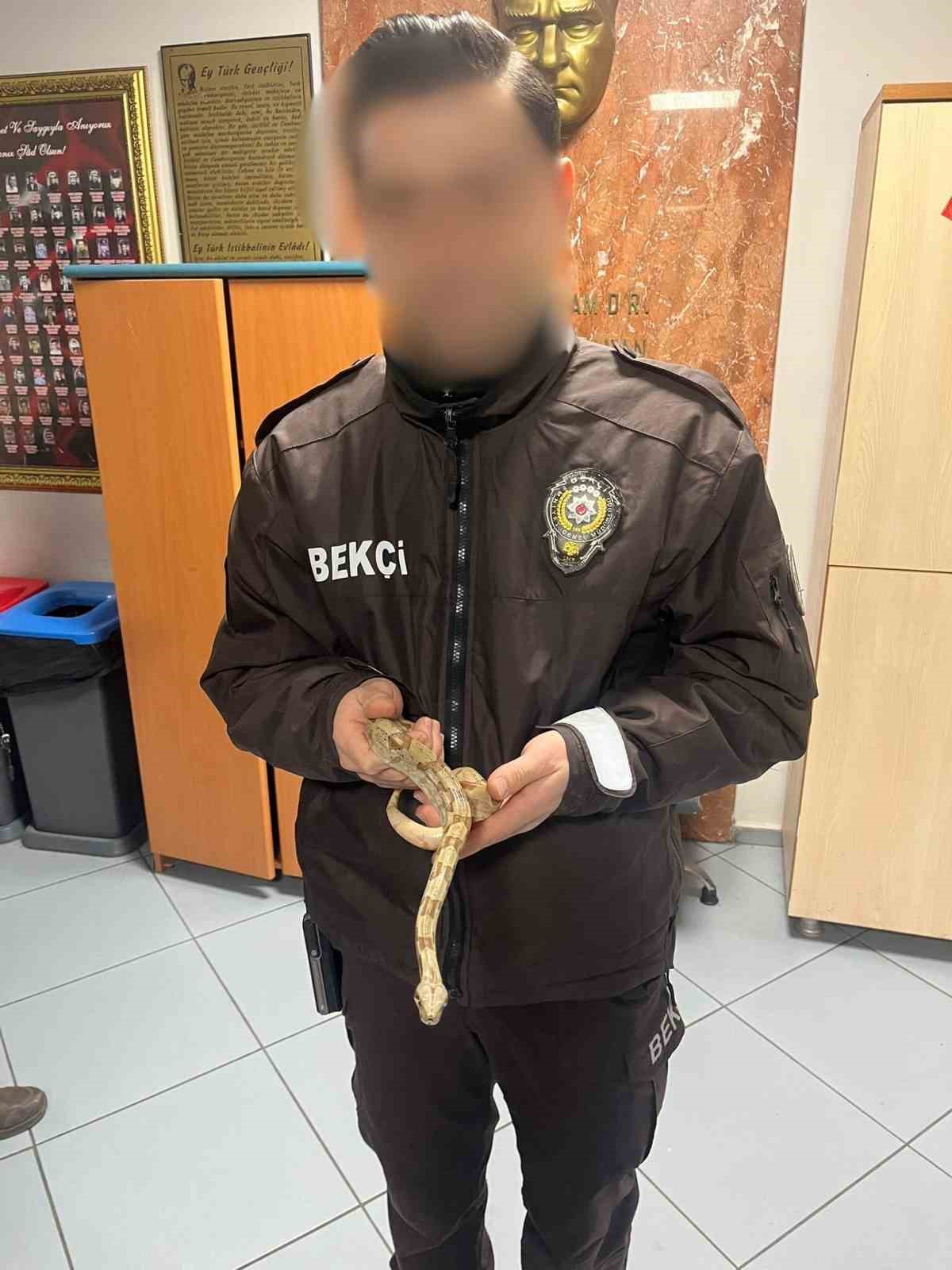 izmirde kafede yilanla gezdi 12 bin lira ceza yedi 2 Yun8bkym