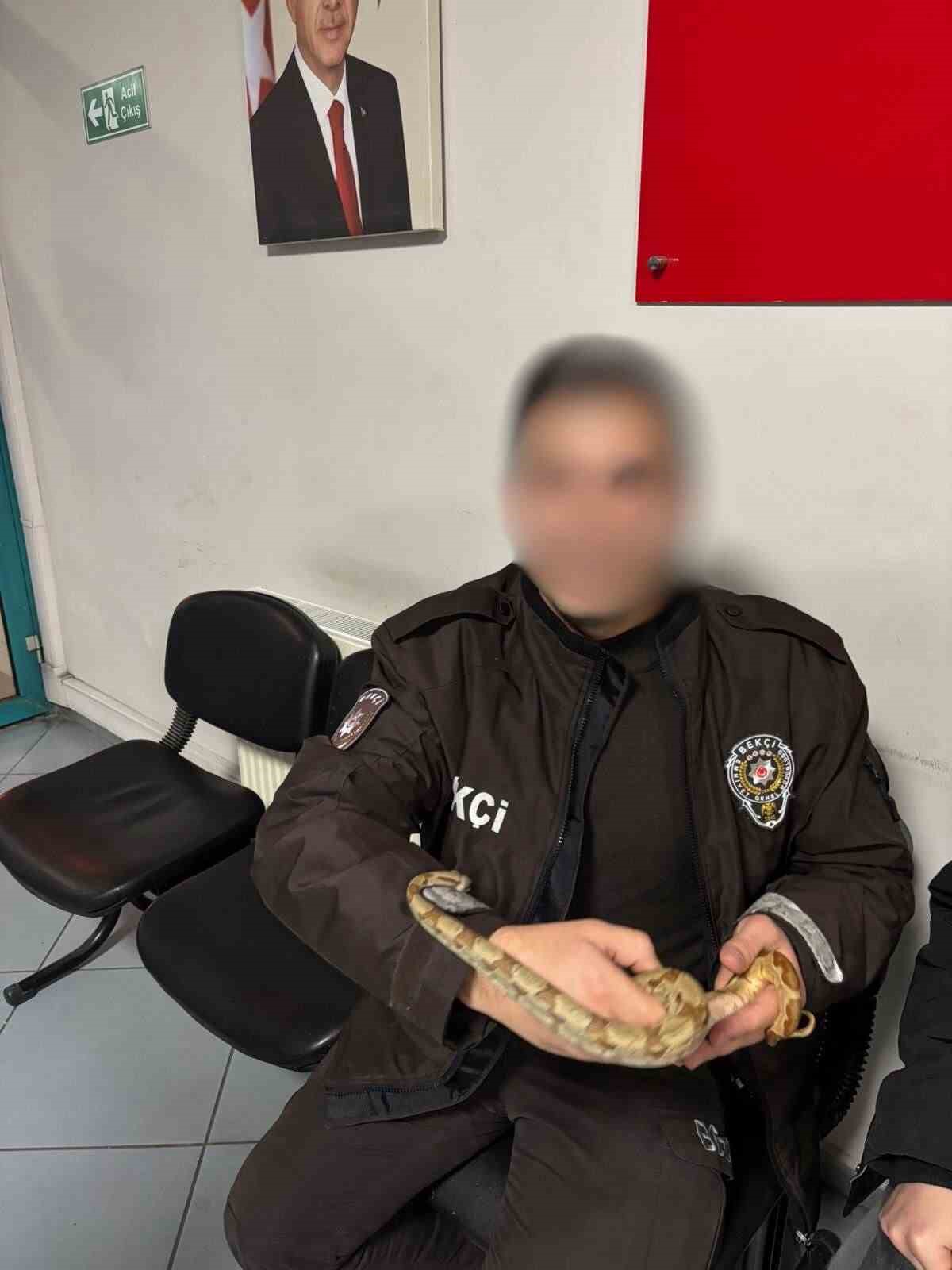 izmirde kafede yilanla gezdi 12 bin lira ceza yedi 3 bpazSYkv