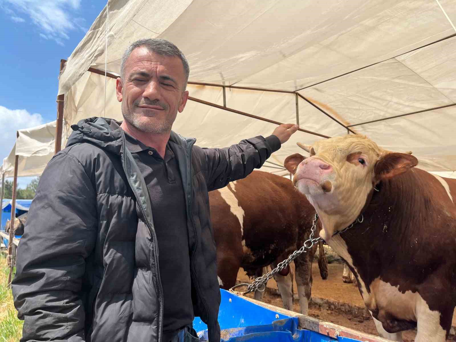 izmirde kurban pazarlari kurulmaya basladi 1 tQXqZF1q