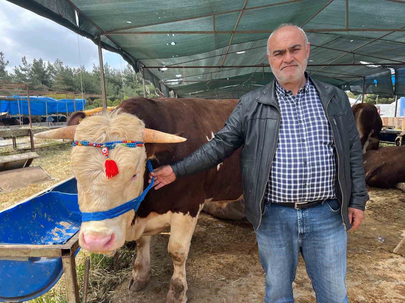 izmirde kurban pazarlari kurulmaya basladi 2 KfLaDGRl