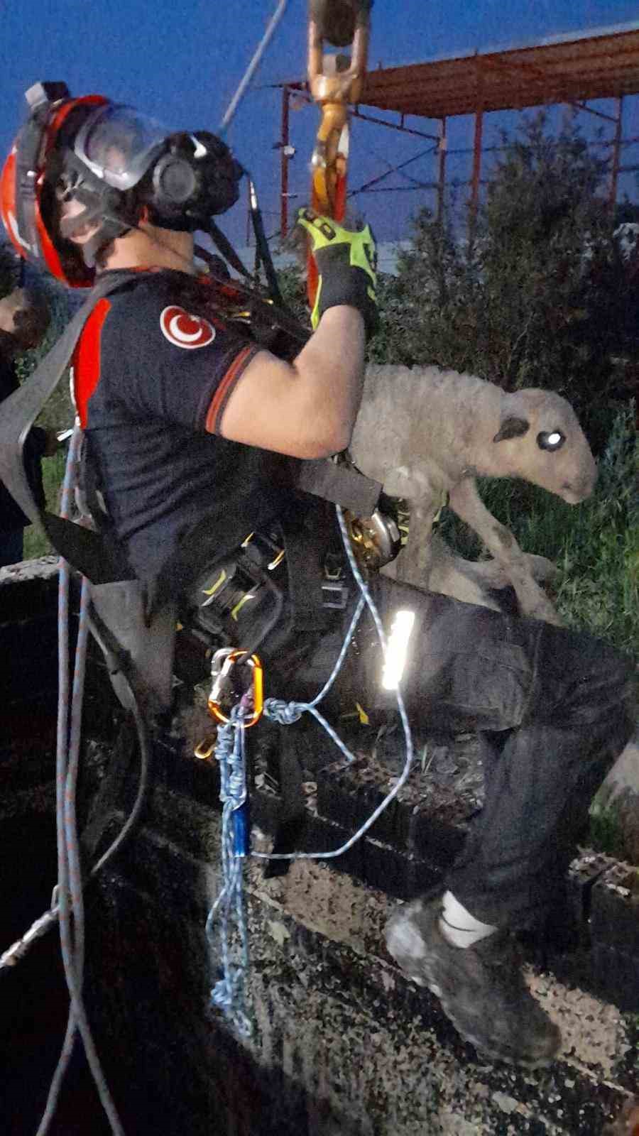 izmirde kuyuya dusen kuzuya itfaiyeden nefes kesen kurtarma 1 GilMLMrB