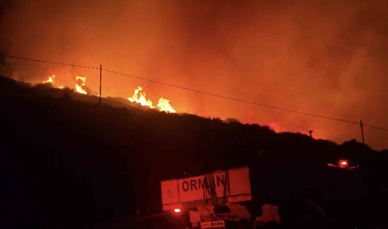 izmirde makilik alanda yangin 0