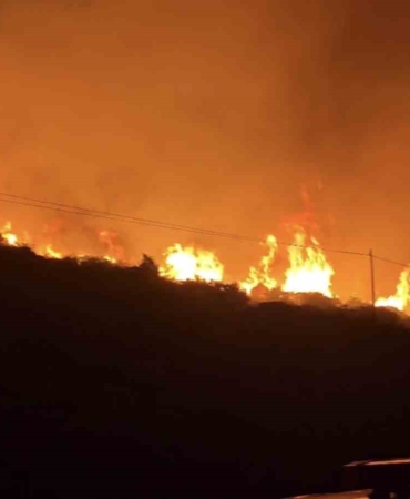 izmirde-makilik-alanda-yangin-Hr3afYj7.jpg