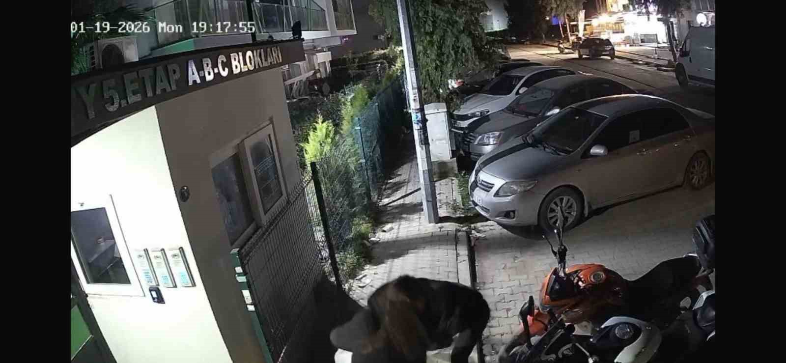 izmirde saplantili eski sevgili cinayeti adresini degistirdi yine kurtulamadi 2 iBSU6KBf