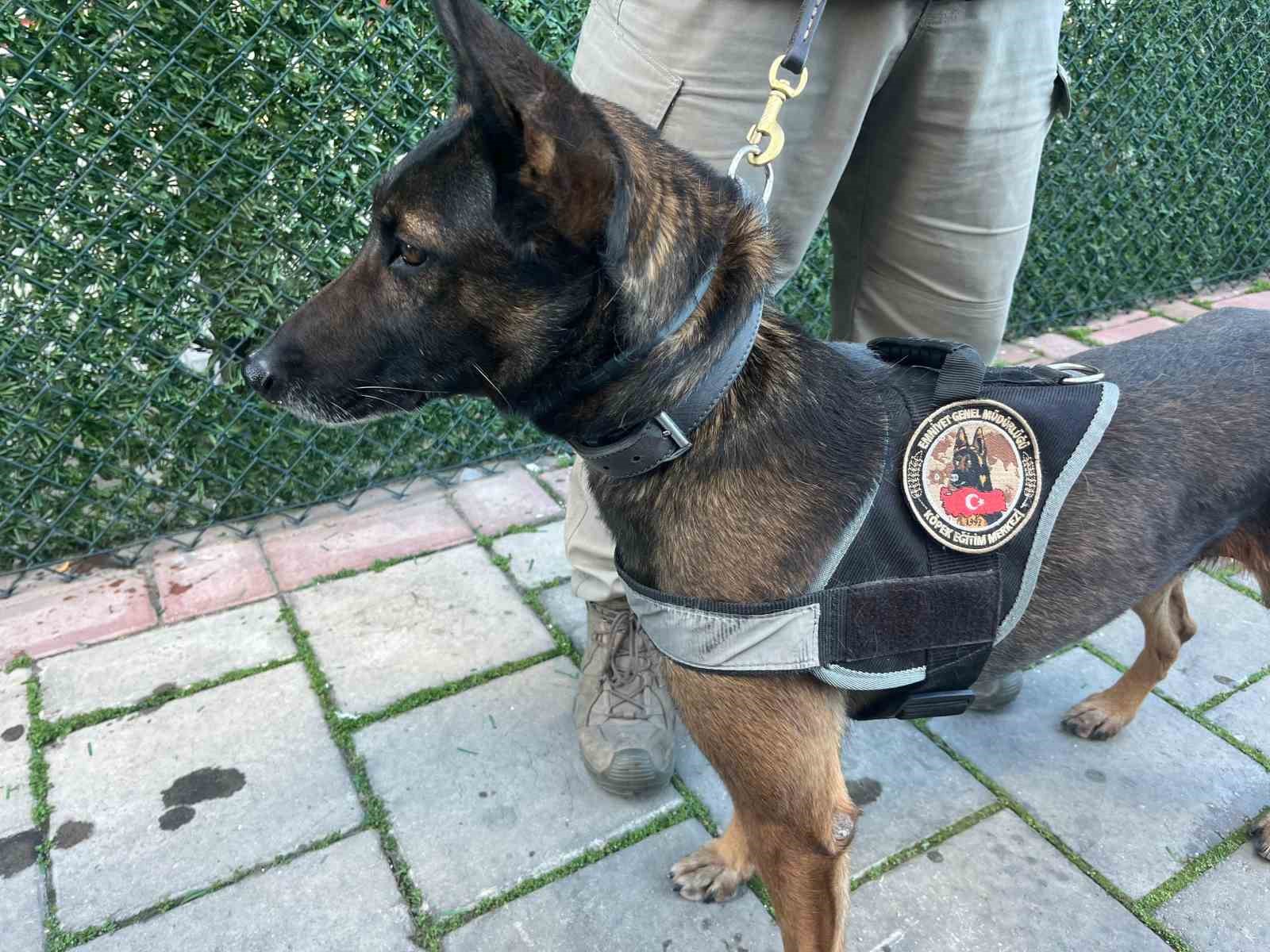 izmirde tek operasyonda 3 milyon uyusturucu hap ele gecti 46 tutuklama 3 u688gunK