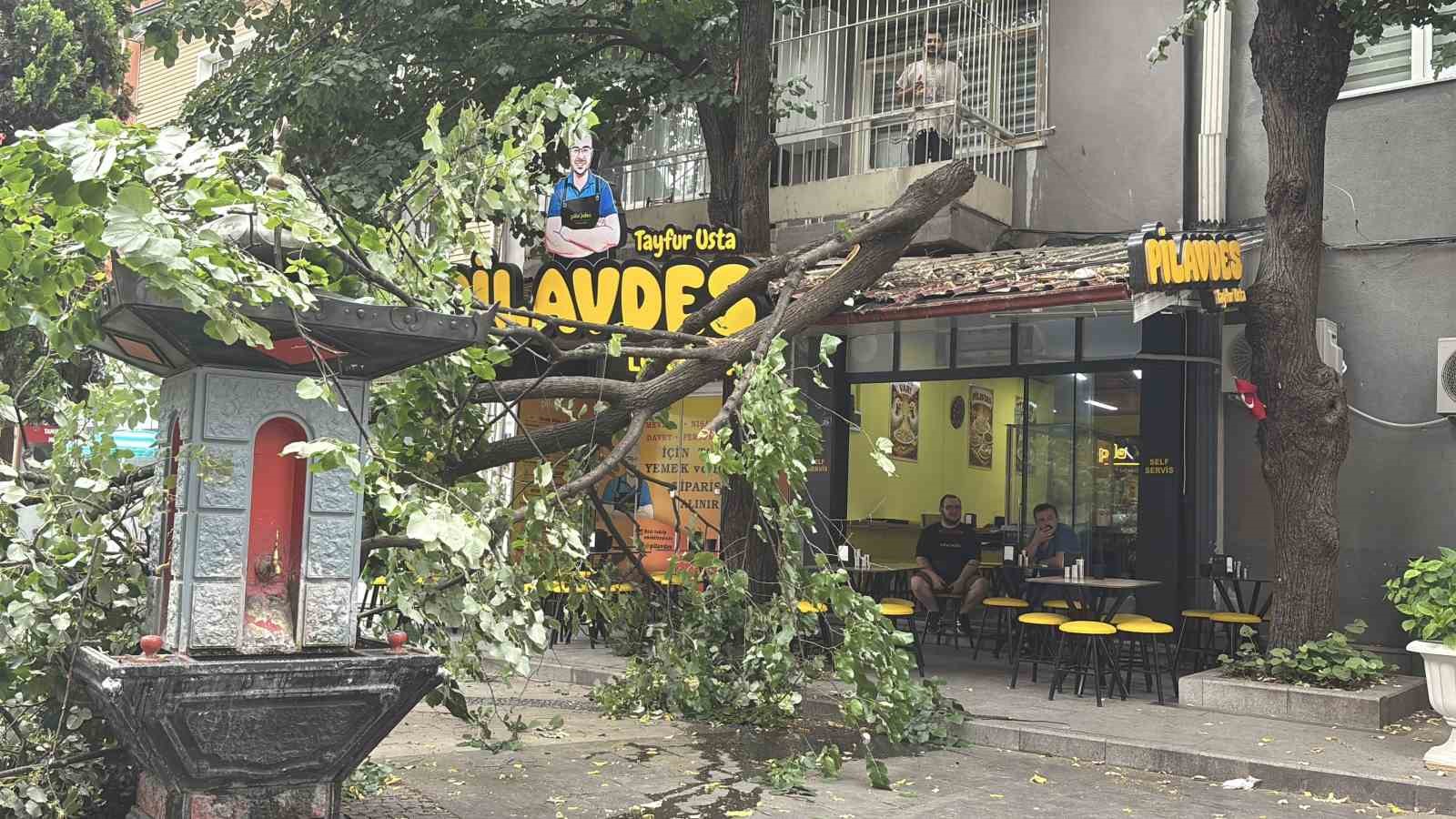 izmitte lokantanin uzerine devrilen agac dallari catida hasara yol acti 4 72yhChPS
