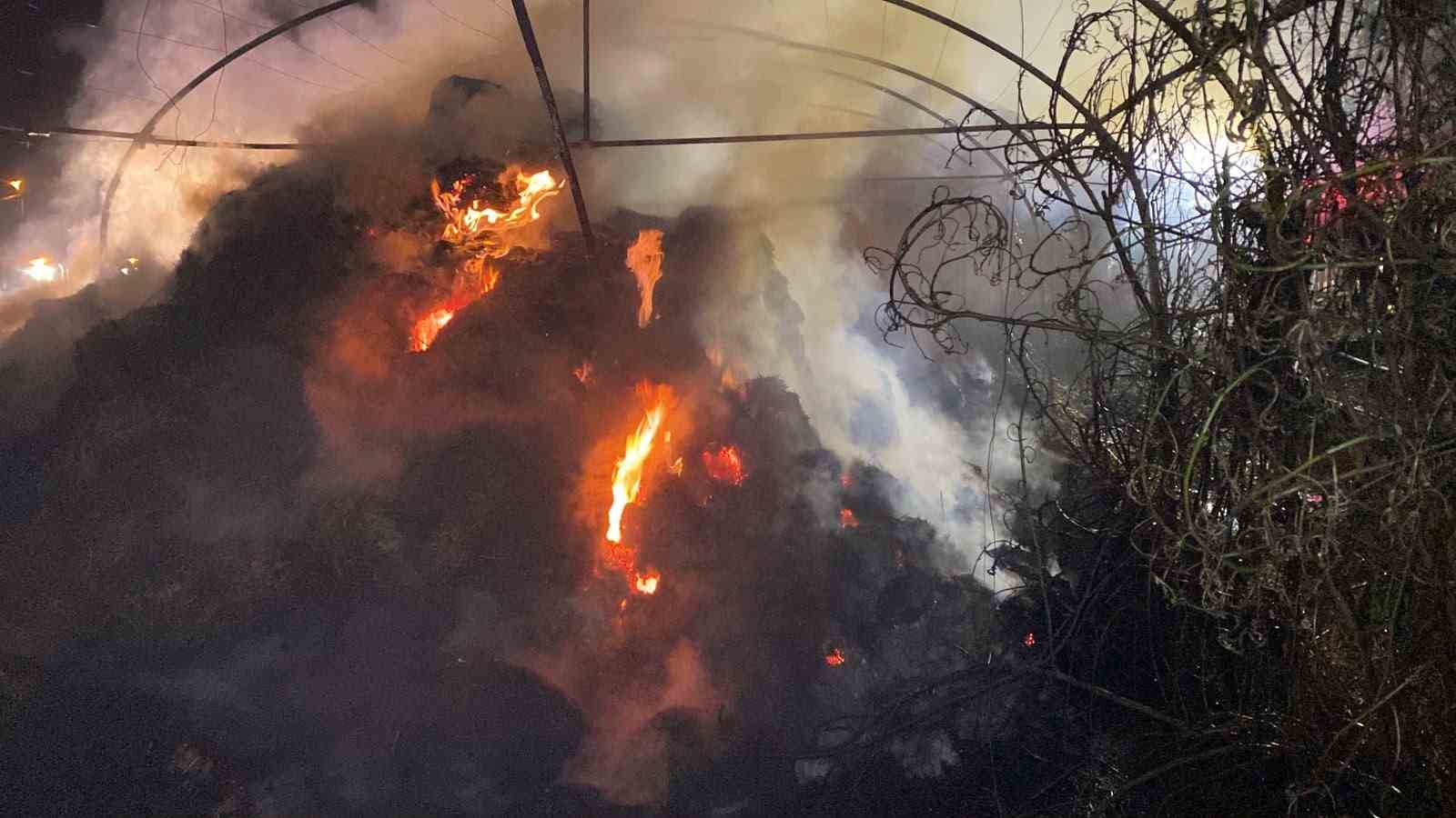 izmitte sera yangini 800 saman balyasi kule dondu 3 WRQLkOKt