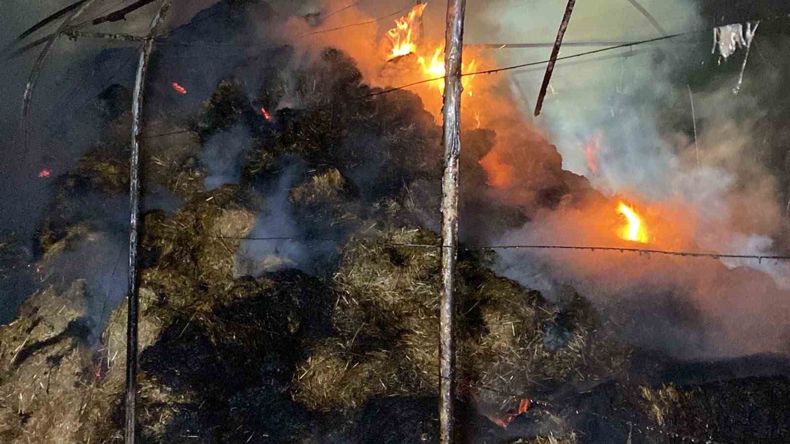 izmitte sera yangini 800 saman balyasi kule dondu 4 aD37nkOW