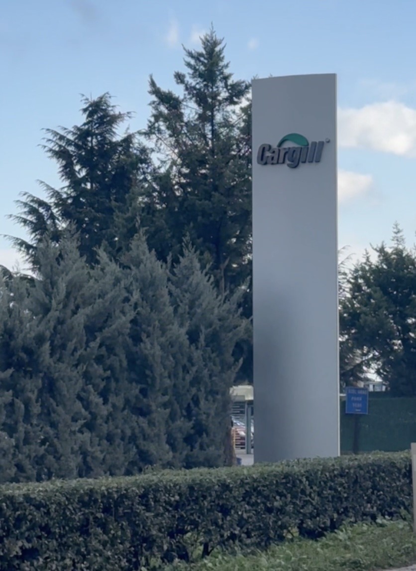 İznik Gölü kuruyor: Cargill’in yer altı sularından yılda 1 milyon metreküpten fazla su çektiği ileri sürülüyor 6 iznik golu kuruyor cargillin yer alti sularindan yilda 1 milyon metrekupten fazla su cektigi Ck9Tcuuq