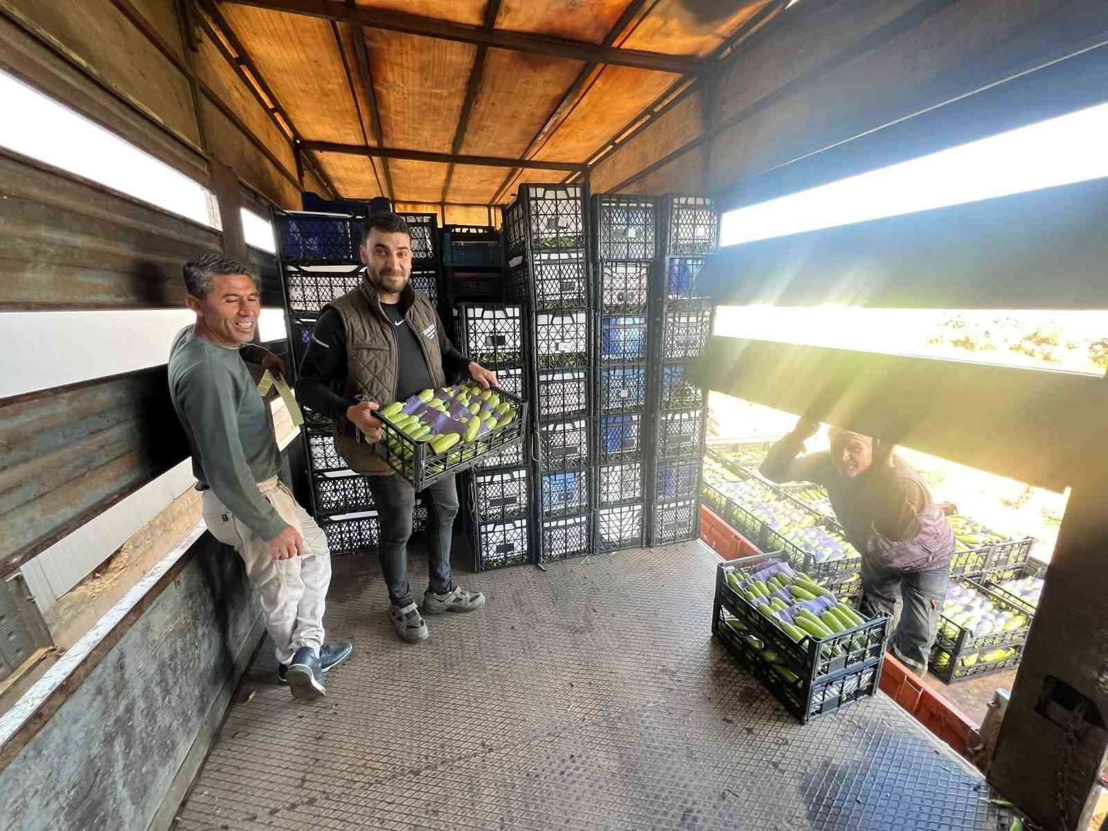 iznikte mevsimin ilk kabak hasadi 0 yVFkWvjI