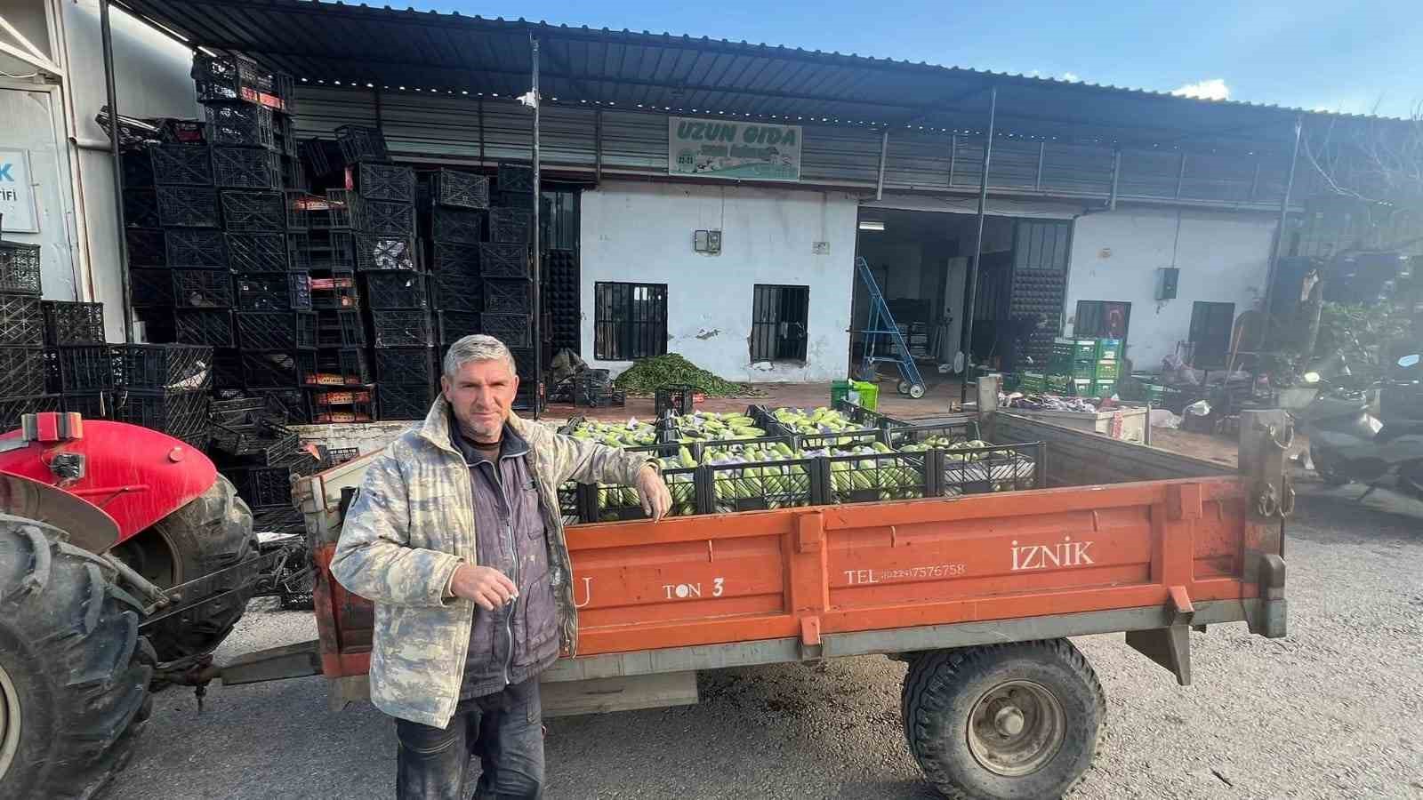 iznikte mevsimin ilk kabak hasadi 1 fBm15lVg