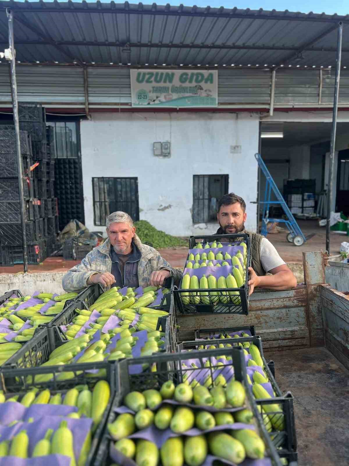 iznikte mevsimin ilk kabak hasadi 2 ZREidqqV