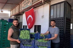 Atık zeytin dallarıyla kuraklığa akıllı çözüm 3 thumbnail