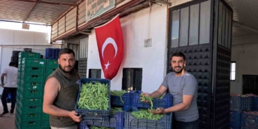 iznikte-nazende-fasulyesinde-ilk-hasat-basladi-uretici-fiyatlardan-memnun-55LRqzgH.jpg