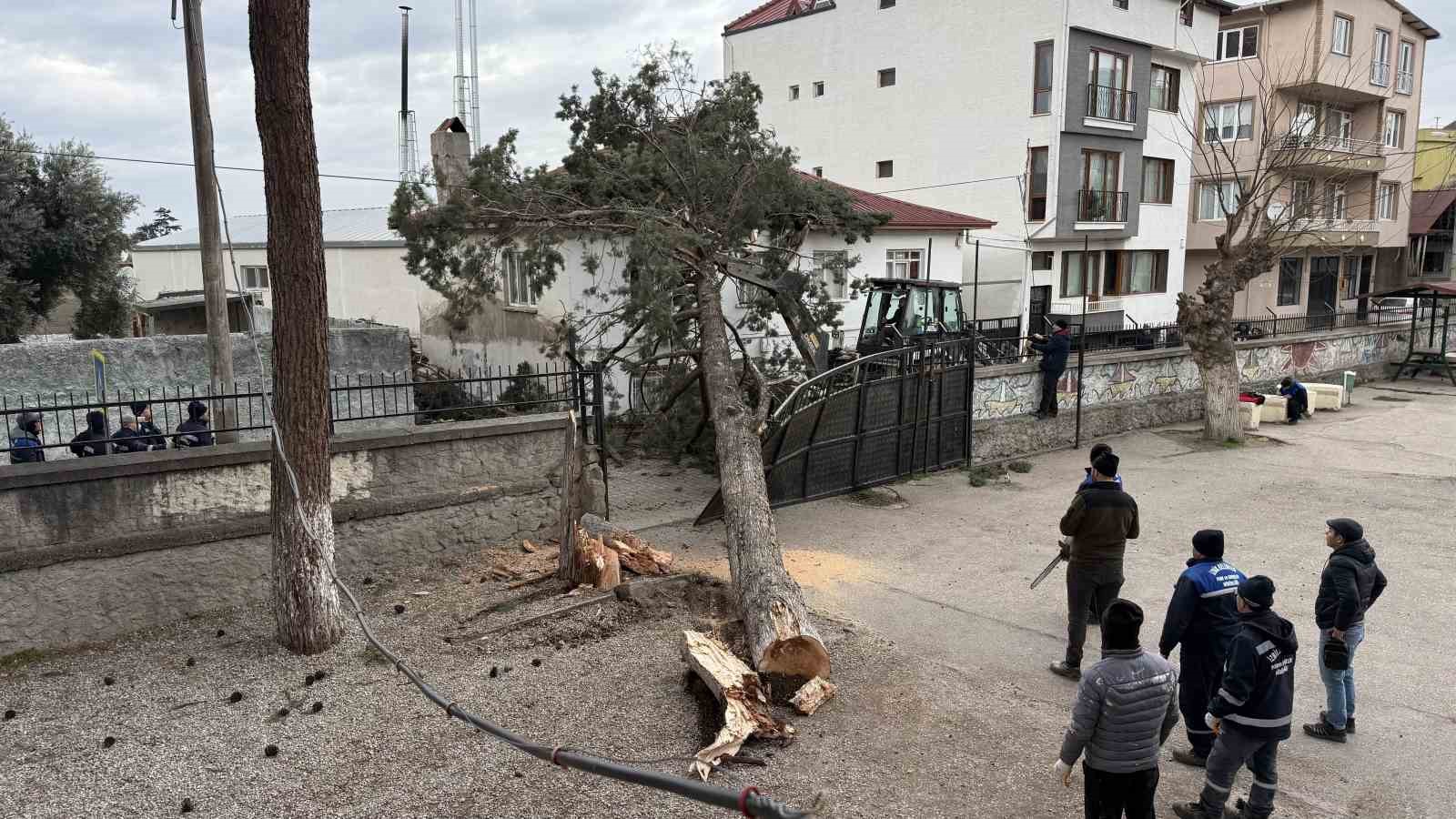 iznikte okullarin tatil olmasi faciayi onledidev agac okul bahcesine devrildi 0 KYOGqnVC