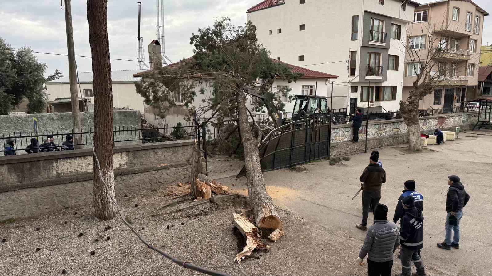 iznikte okullarin tatil olmasi faciayi onledidev agac okul bahcesine devrildi 1 hQhIKvcB
