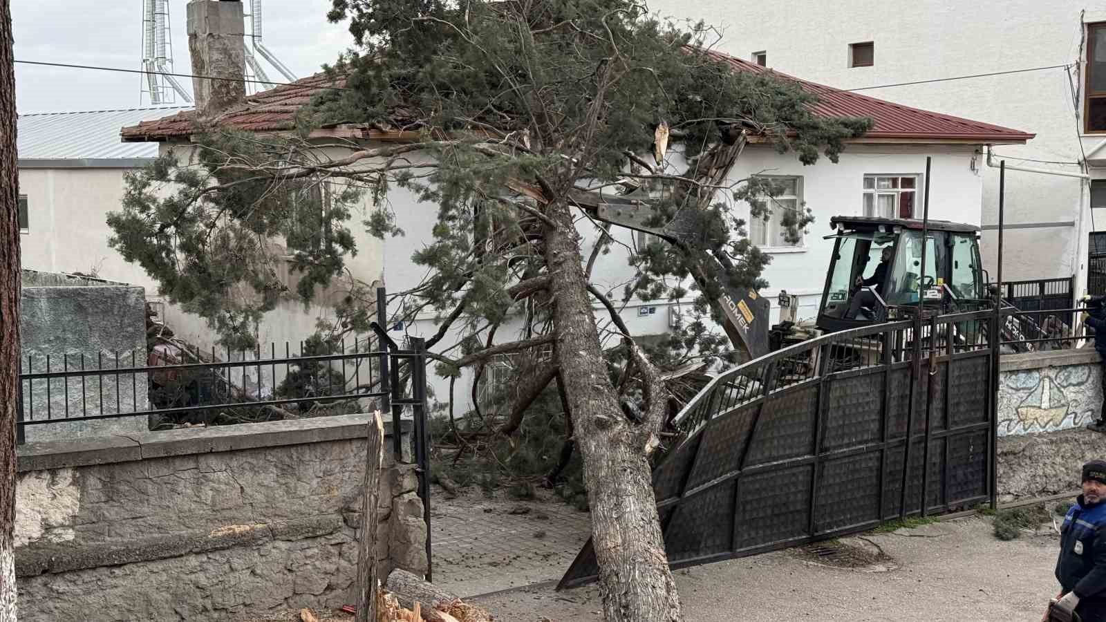 iznikte okullarin tatil olmasi faciayi onledidev agac okul bahcesine devrildi 2 SG2kabvH