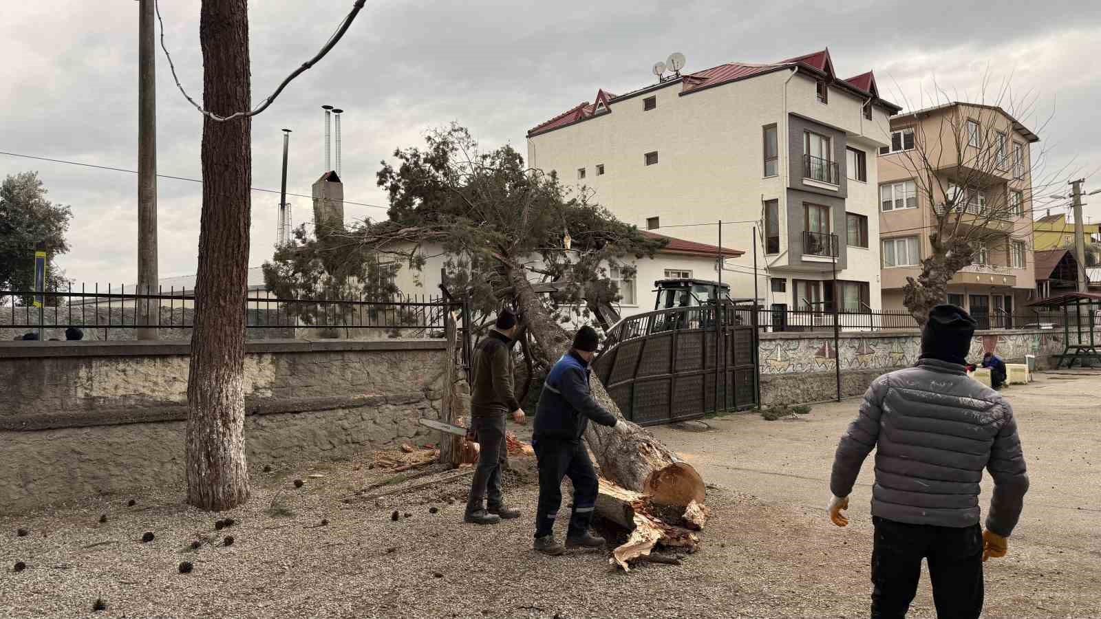 iznikte okullarin tatil olmasi faciayi onledidev agac okul bahcesine devrildi 3 nshVQKcW