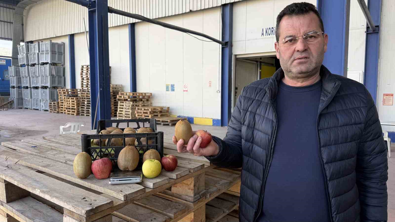iznikte yetistirilen dev kiviler agirliklariyla rekor kirdi avrupa pazarinin dikkatini cekti 1 UjusaWGi