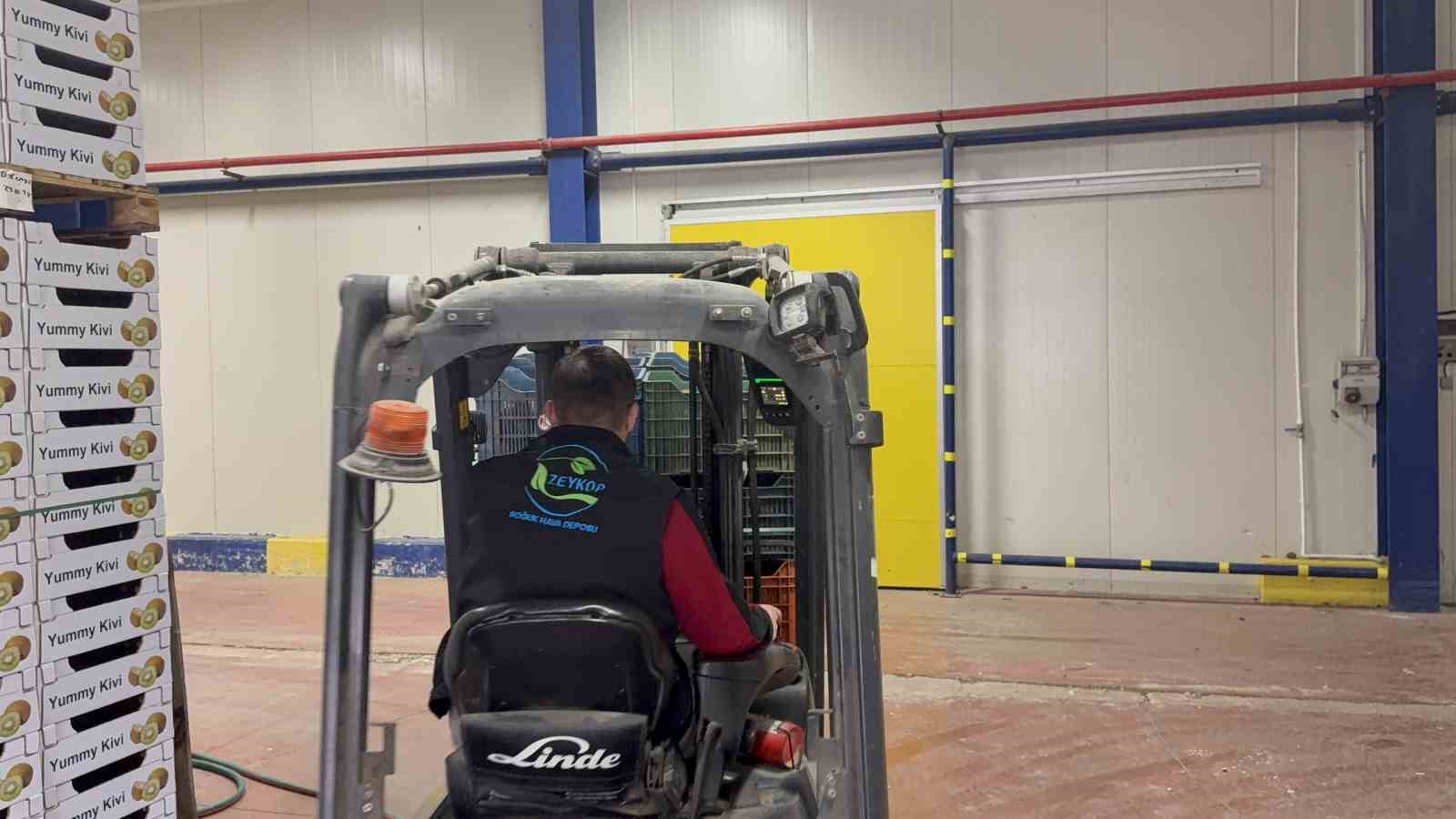iznikte yetistirilen dev kiviler agirliklariyla rekor kirdi avrupa pazarinin dikkatini cekti 9 VwVEc7fe