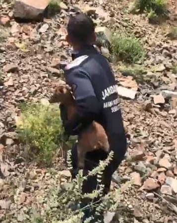 jak-dalgiclari-sarp-yamacta-mahsur-kalan-yavru-keciyi-kurtardi-KIFyFmkg.jpg
