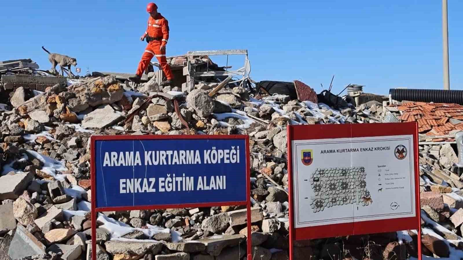 JAKEM’de deprem sonrası umut arayan patiler 7 jakemde deprem sonrasi umut arayan patiler 3 hXBYaTgt