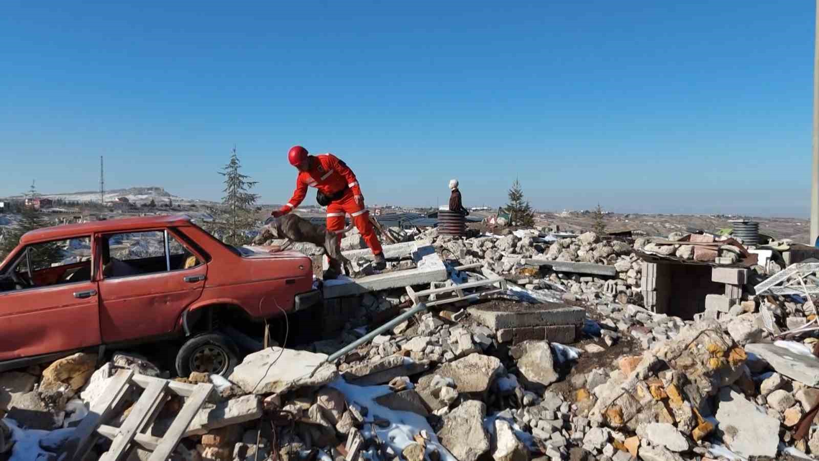 JAKEM’de deprem sonrası umut arayan patiler 8 jakemde deprem sonrasi umut arayan patiler 4 f5TaN8qB