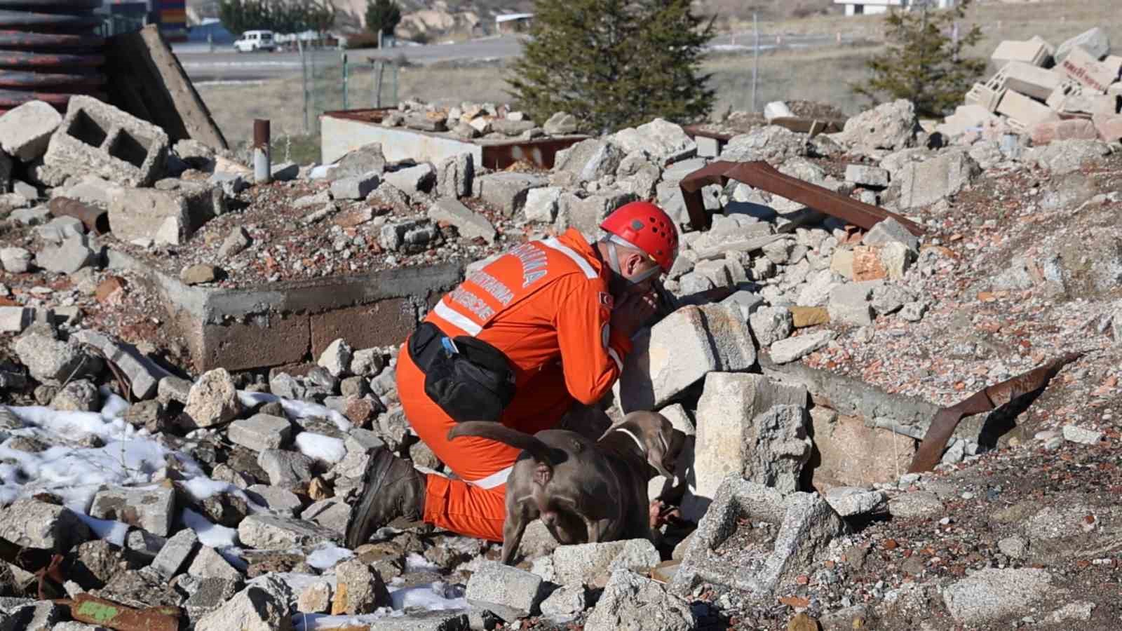 JAKEM’de deprem sonrası umut arayan patiler 9 jakemde deprem sonrasi umut arayan patiler 5 zFC8NLsS