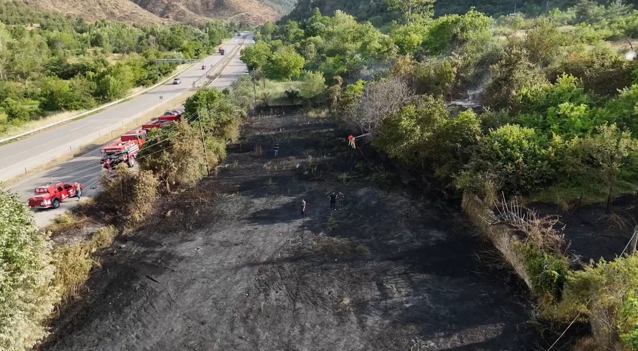Jandarma, alevlerin arasındaki kaplumbağa ve yavrularını kurtardı 4 jandarma alevlerin arasindaki kaplumbaga ve yavrularini kurtardi 0 NBHjqQOX